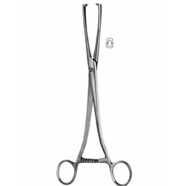 Gynecology